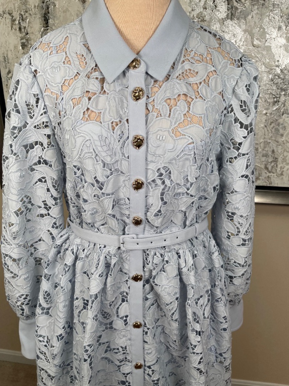 SELF-PORTRAIT Blue Lace Collared Floral Long Sleeve Button Down Maxi Dress Sz 10 - Picture 4 of 14